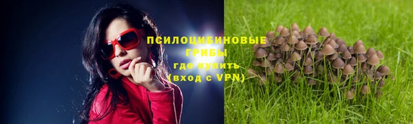 кокаин премиум Алексин