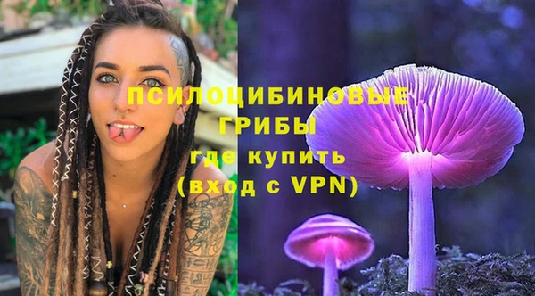 бошки Алексеевка