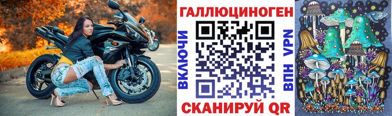 Псилоцибиновые грибы Psilocybine cubensis Купить закладки Краснознаменск